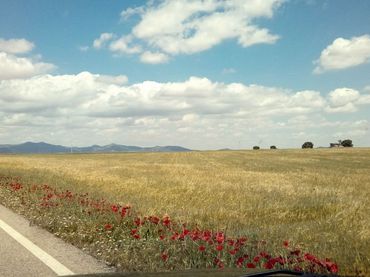 Casa rustica in vendita a de Manzanares, km 22
