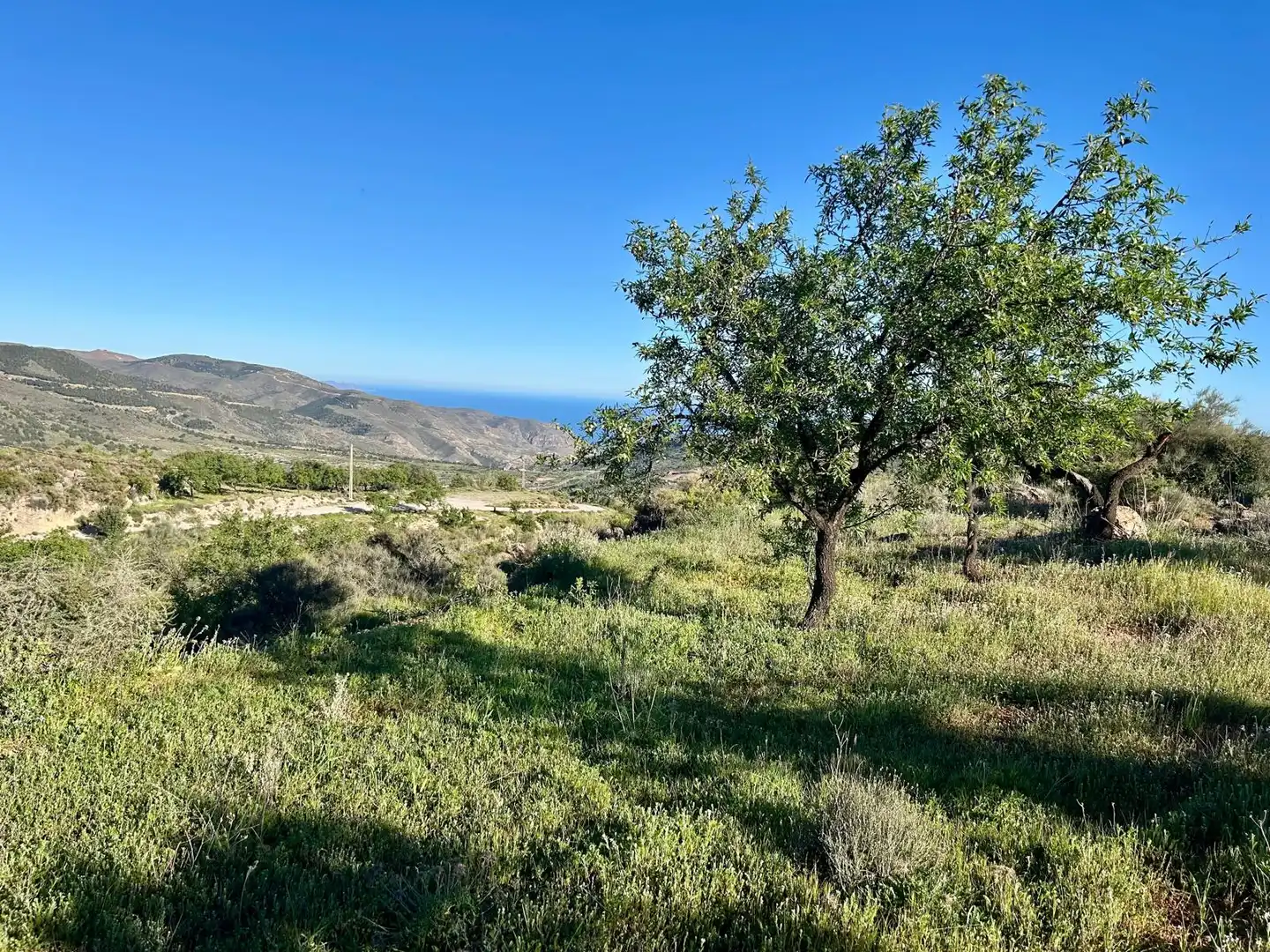 Terreno en venta en Felix