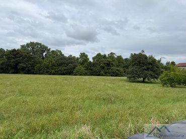 Lands and plots for sale in Villaverde-prado 1