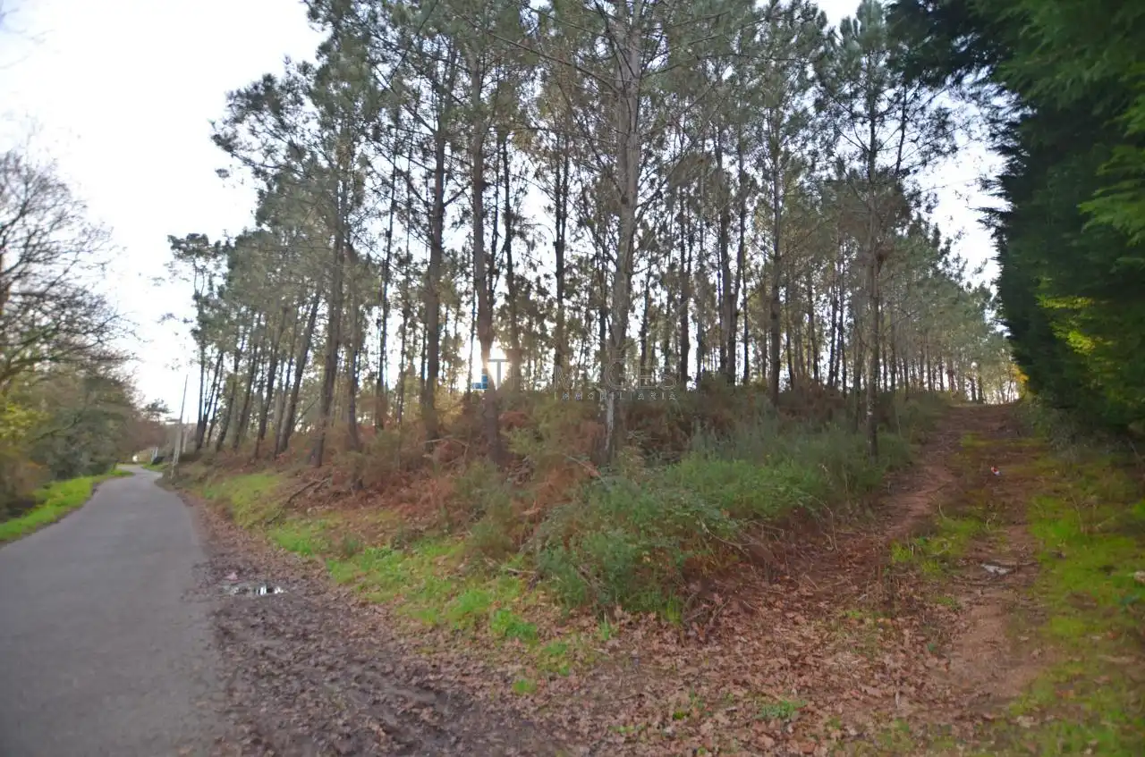 Terreno rustico in vendita a CARREGAL ABAIXO