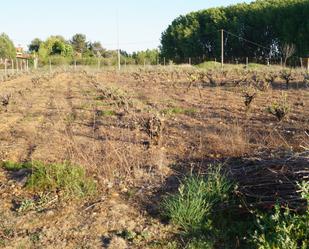 Residencial en venda en Chozas de Abajo