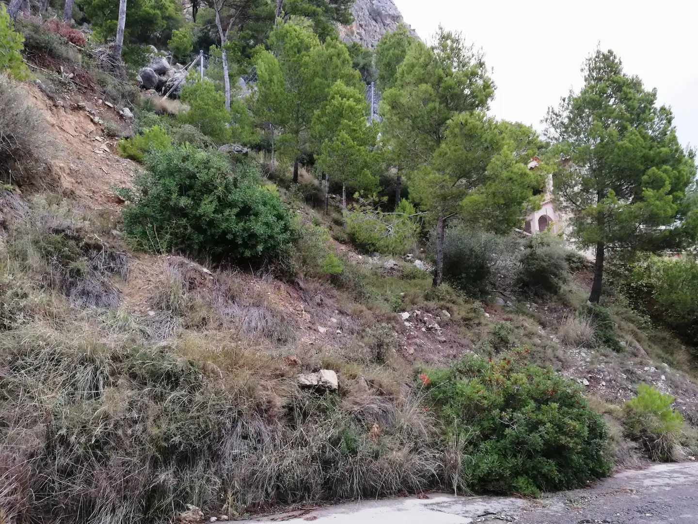 Terreny residencial en venda a L'Estartit Poble, imagen 8