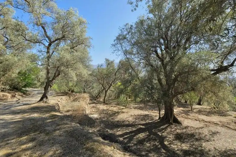 Terreno rustico in vendita a El Pinar, imagen 6