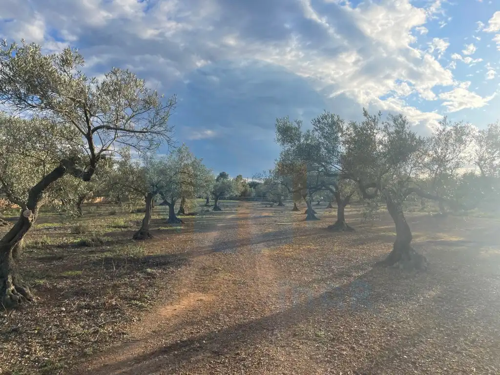 Country house for sale in L'Ampolla, imagen 5