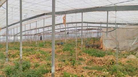 Foto 2 de Finca rústica en venta en Camino Guájar-faragüit, Los Guájares, Granada