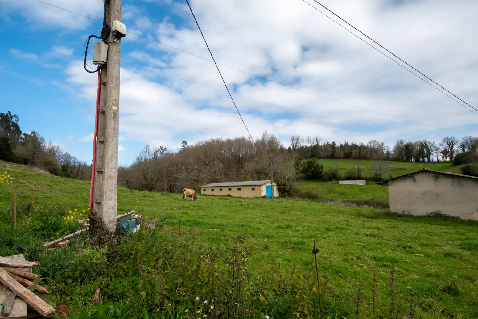 Terreno rustico in vendita a Maoxu, imagen 5
