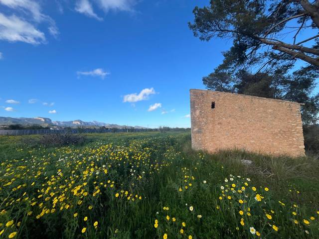 Terreno en Venta en Santa María del Camí