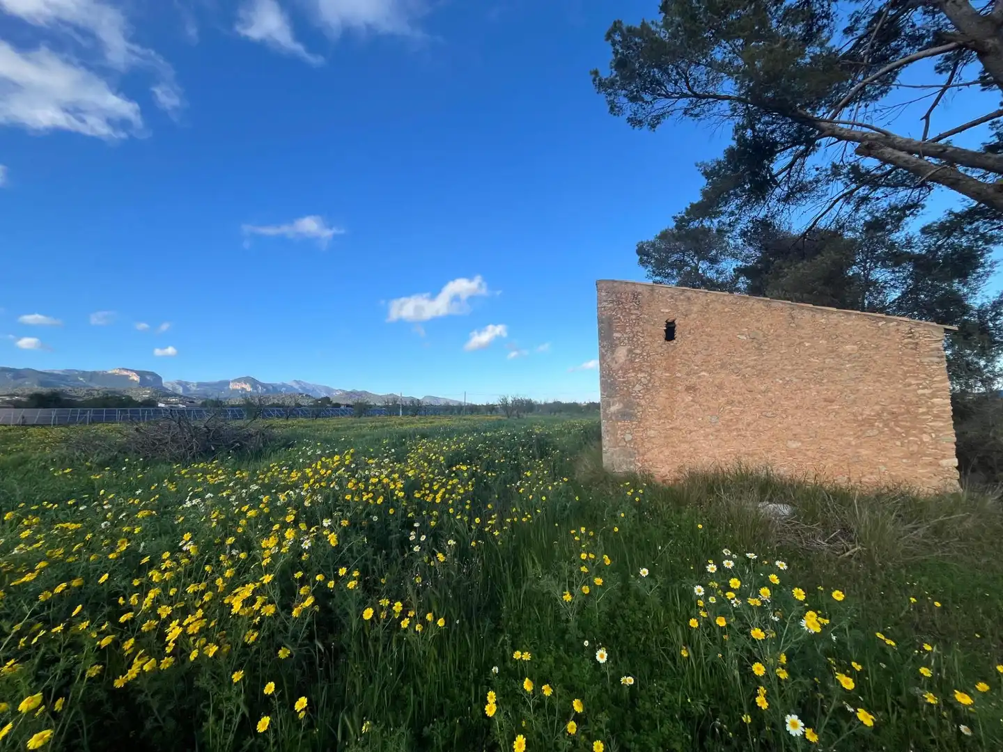 Terreny rústic en venda a Santa María del Camí