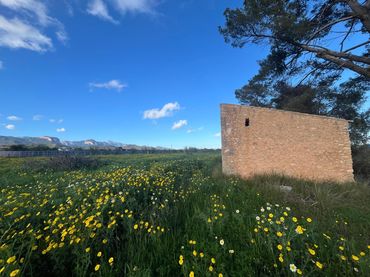 Rustikales Grundstück zum Verkauf in Santa María del Camí