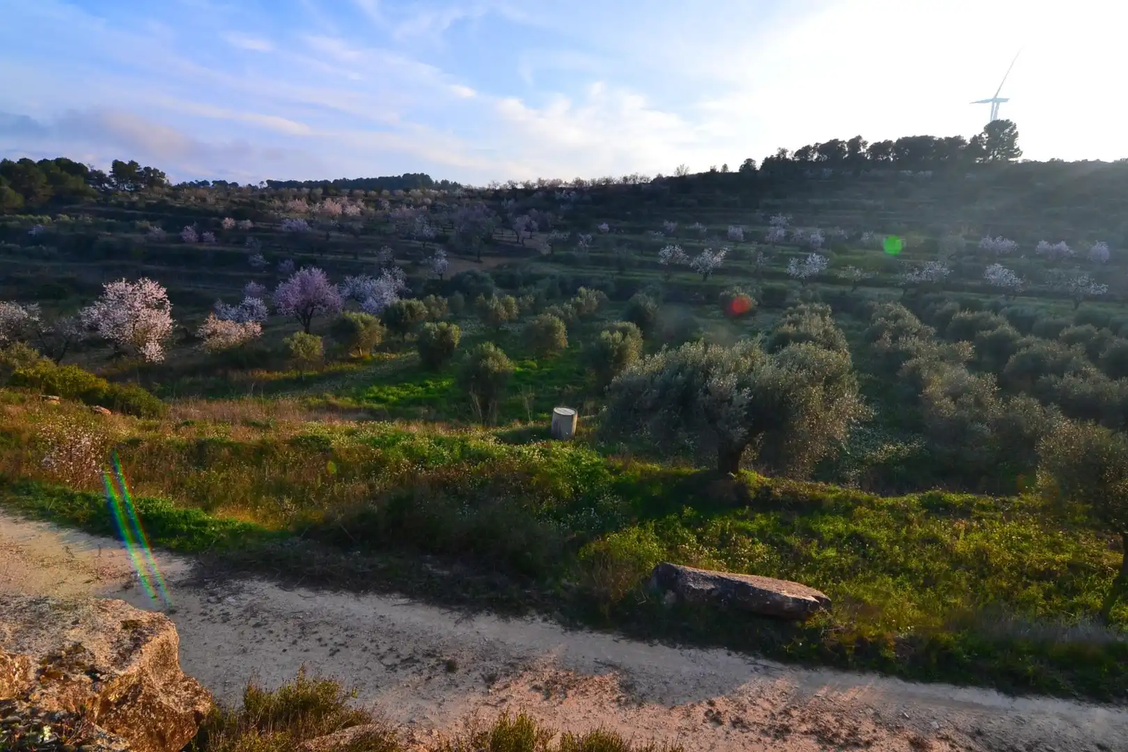 Rural land for sale in Corbera d'Ebre, imagen 77