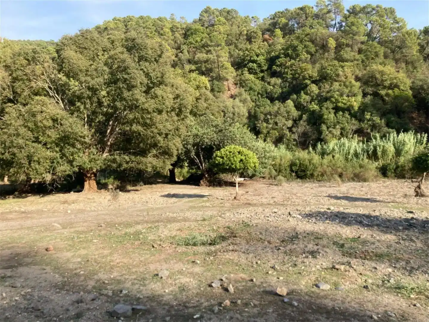 Land for sale in Benarrabá