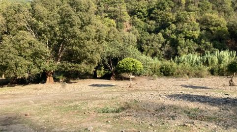 Foto 5 de Terreno en venta en Benarrabá, Málaga
