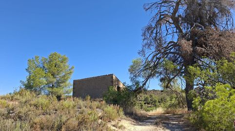 Foto 2 de Finca rústica en venta en Edificio Diseminados, Maella, Zaragoza