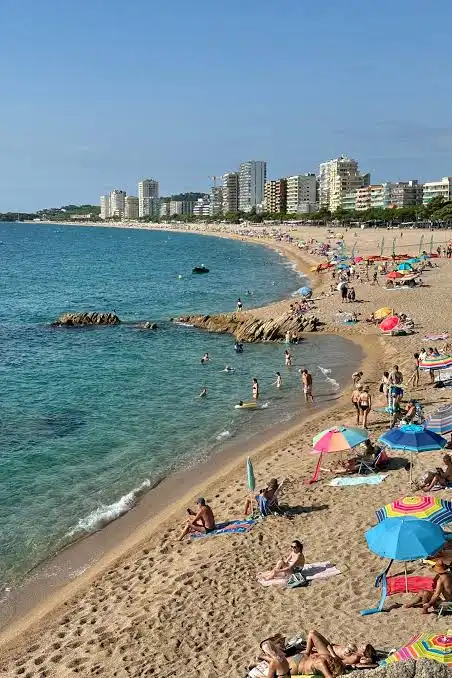 Terreno residenziale in vendita a Platja d'Aro, imagen 2