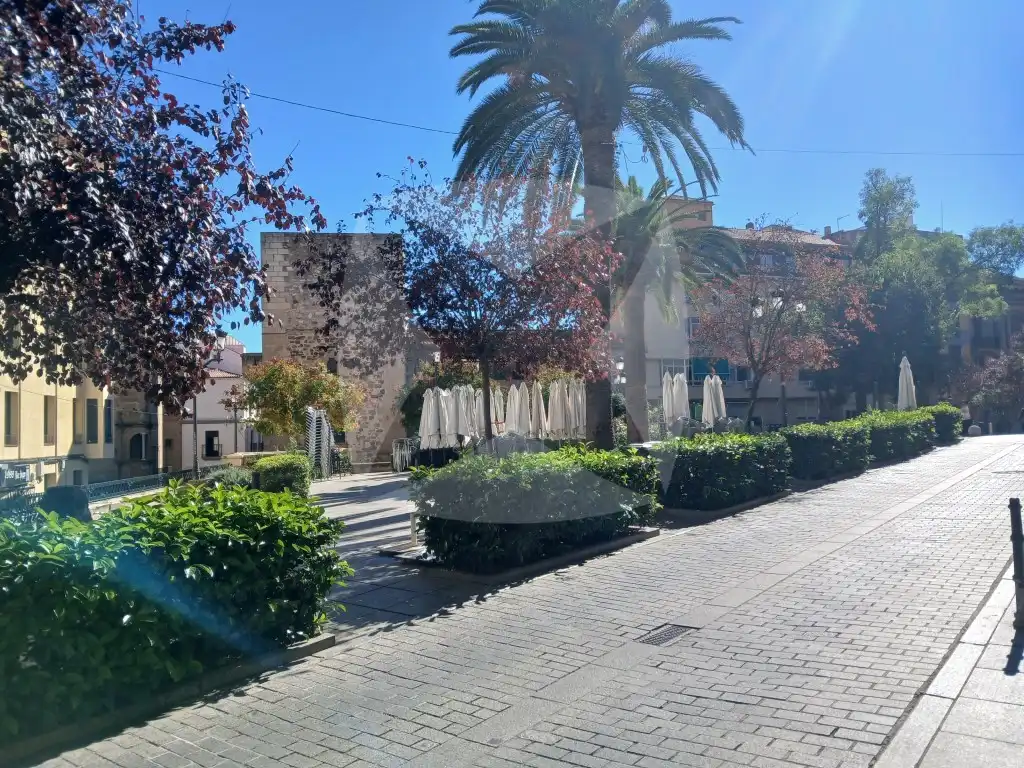 Locale commerciale in vendita a Calle Barrio Nuevo