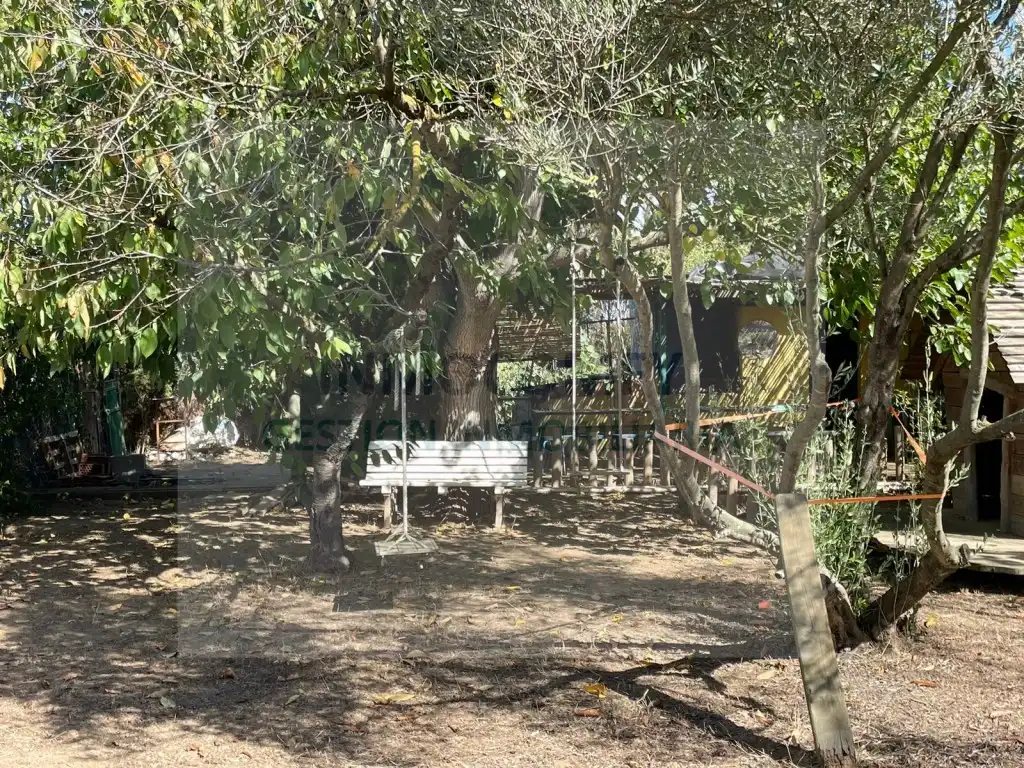 Rural land for sale in Calle Bordeta, imagen 11