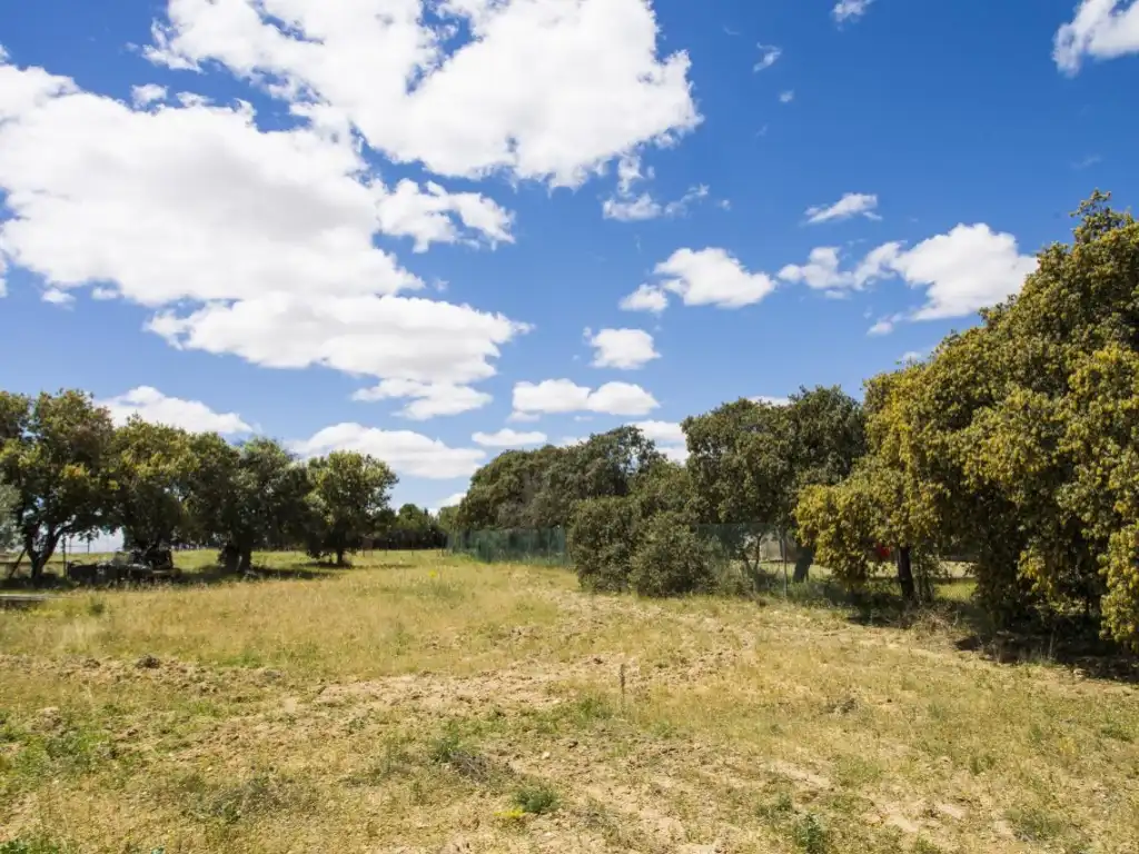 Finca rústica en venda en Navalcarnero