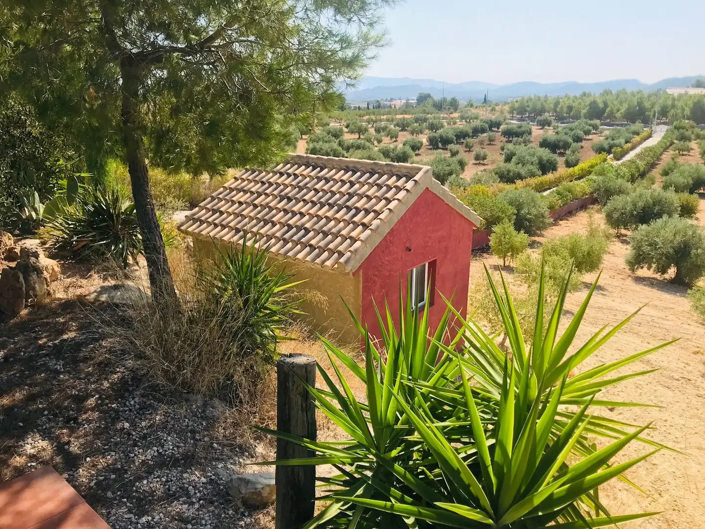 Chalet con terraza en venta en Cehegín, imagen 27