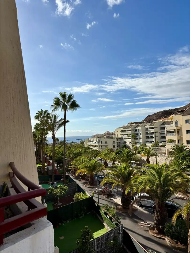 Wohnung mit Pool zum Verkauf in Palm - Mar, imagen 5