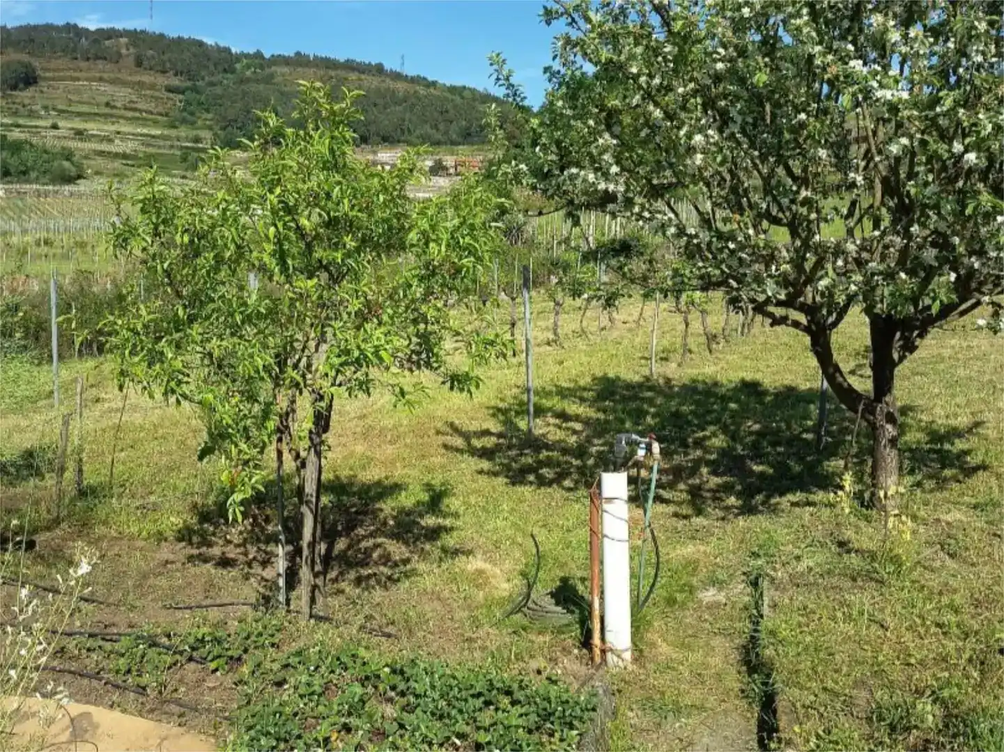Casa adosada en venda en Leiro amb Jardí privat, Traster i Moblat