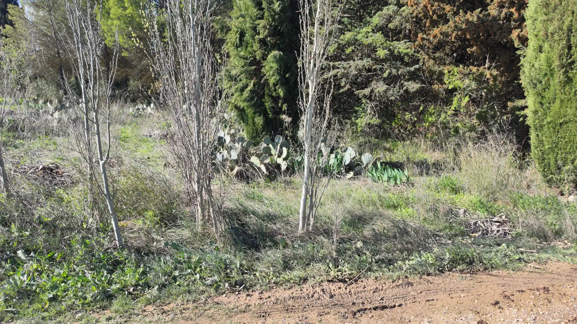 Terreni e lotti in vendita a Urbanización Viña del Romero 16, imagen 2