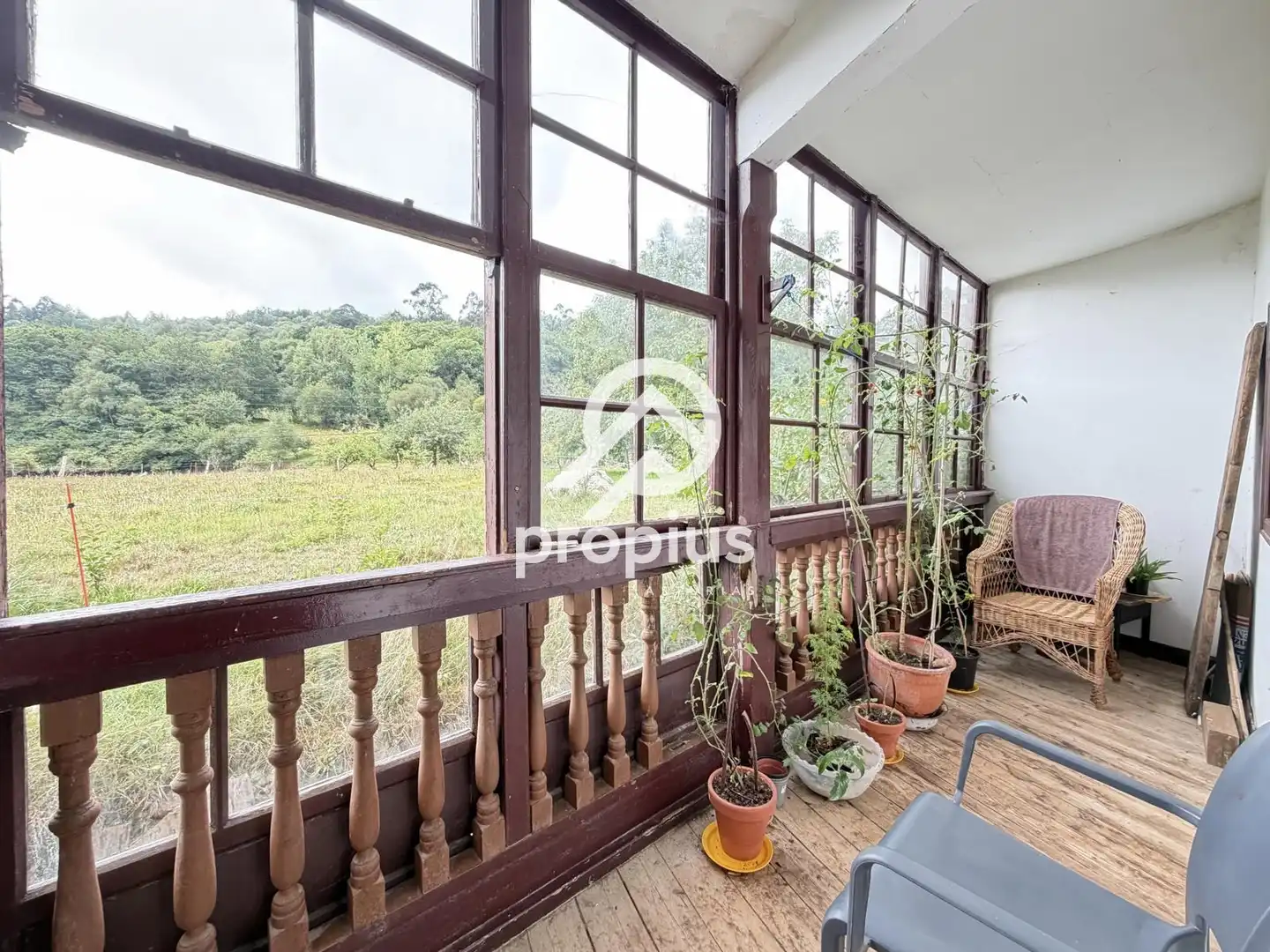House for sale in Ricaliente, imagen 34