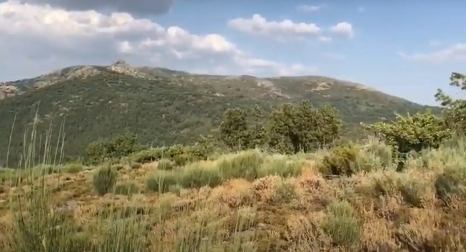 Terreni e lotti in vendita a Jerte, imagen 4