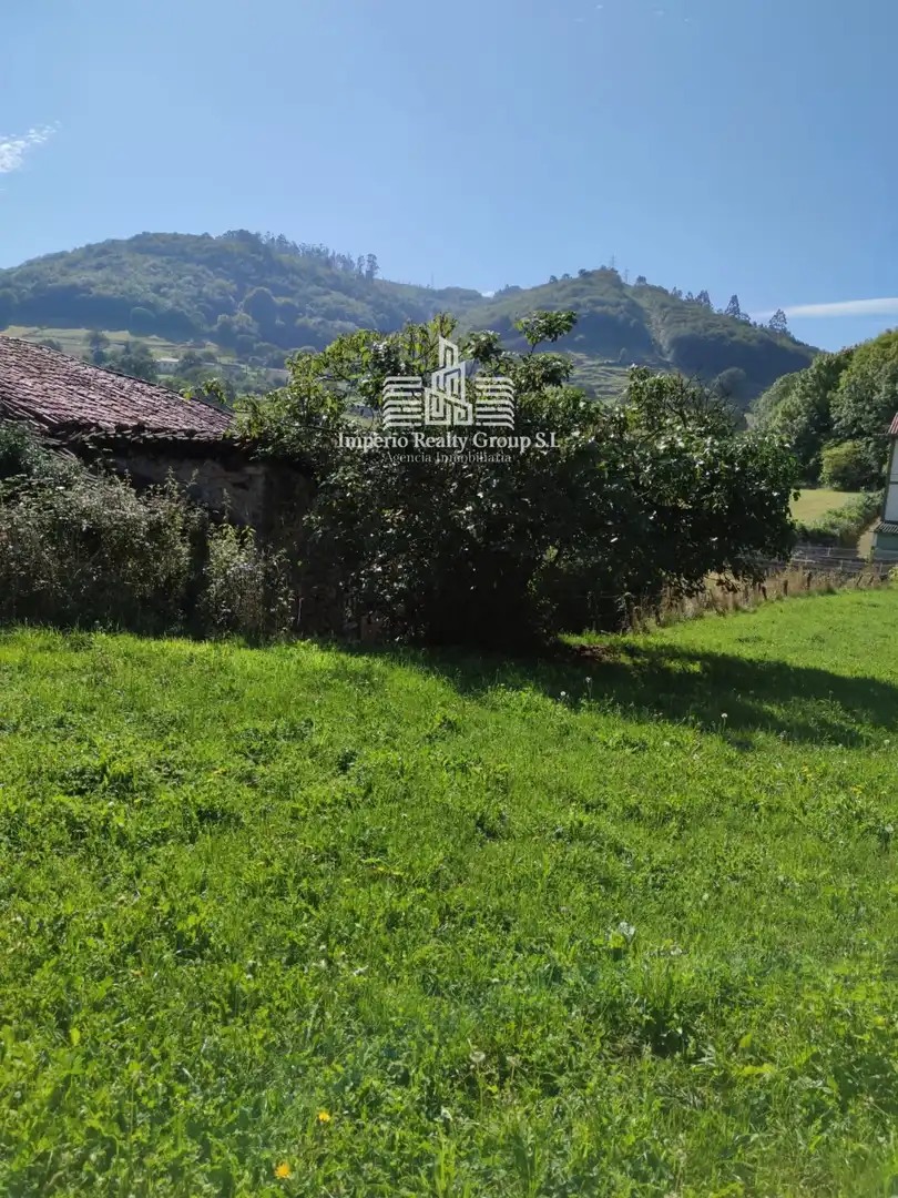 Terreno rústico en venta en Grado, imagen 5