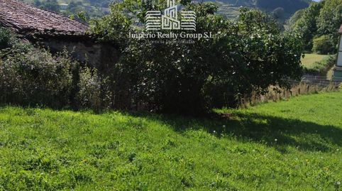 en Grado, immagine 5