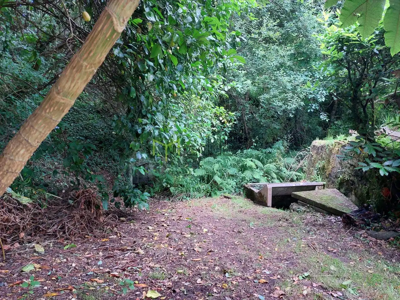 Casa amb jardí en venda a Cedeira, imagen 22
