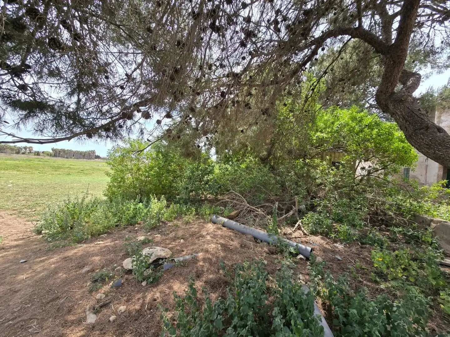 Finca rústica en venta en  Palma de Mallorca con Jardín privado, Terraza y Trastero