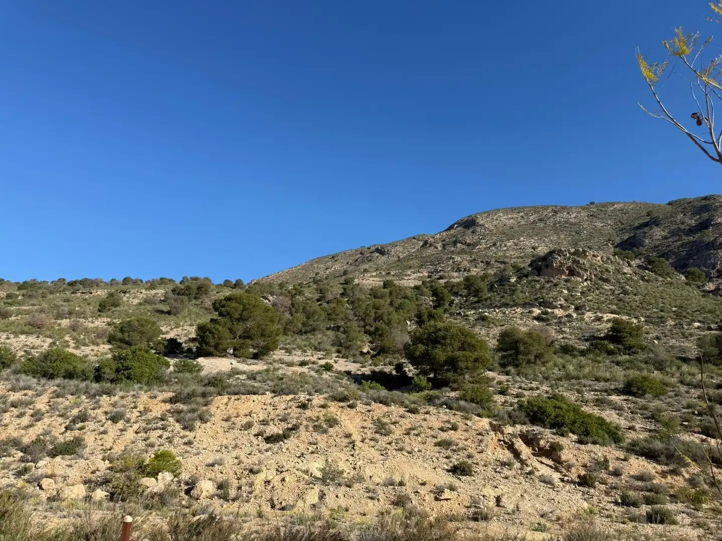 Residential for sale in Fortuna