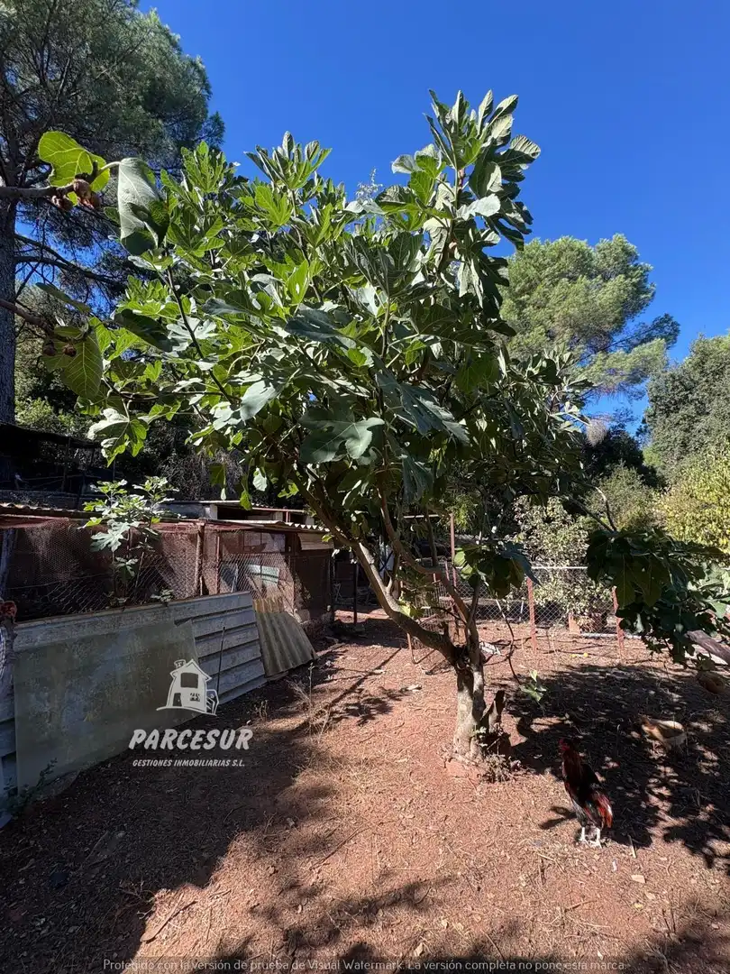 Casa en venda a Periurbano Oeste - Sierra, imagen 32