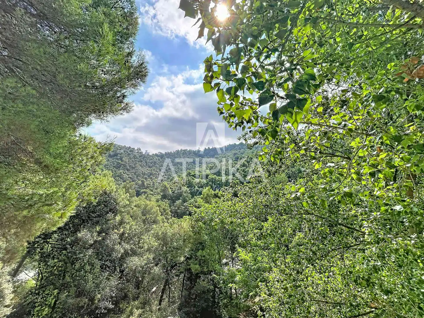 Casa con piscina en venta en Les Planes, imagen 67