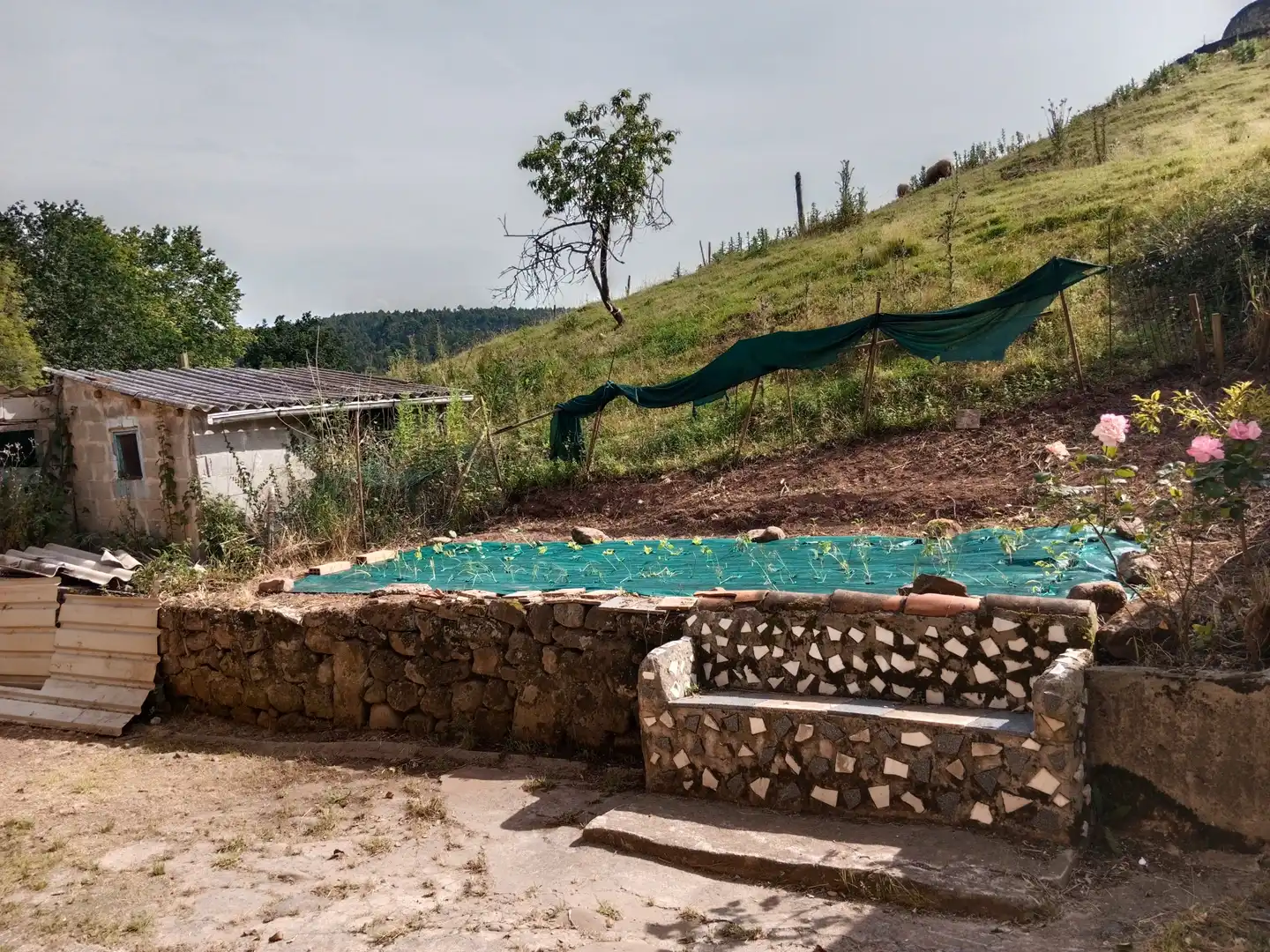 Piscina de Casa o xalet en venda en Piélagos