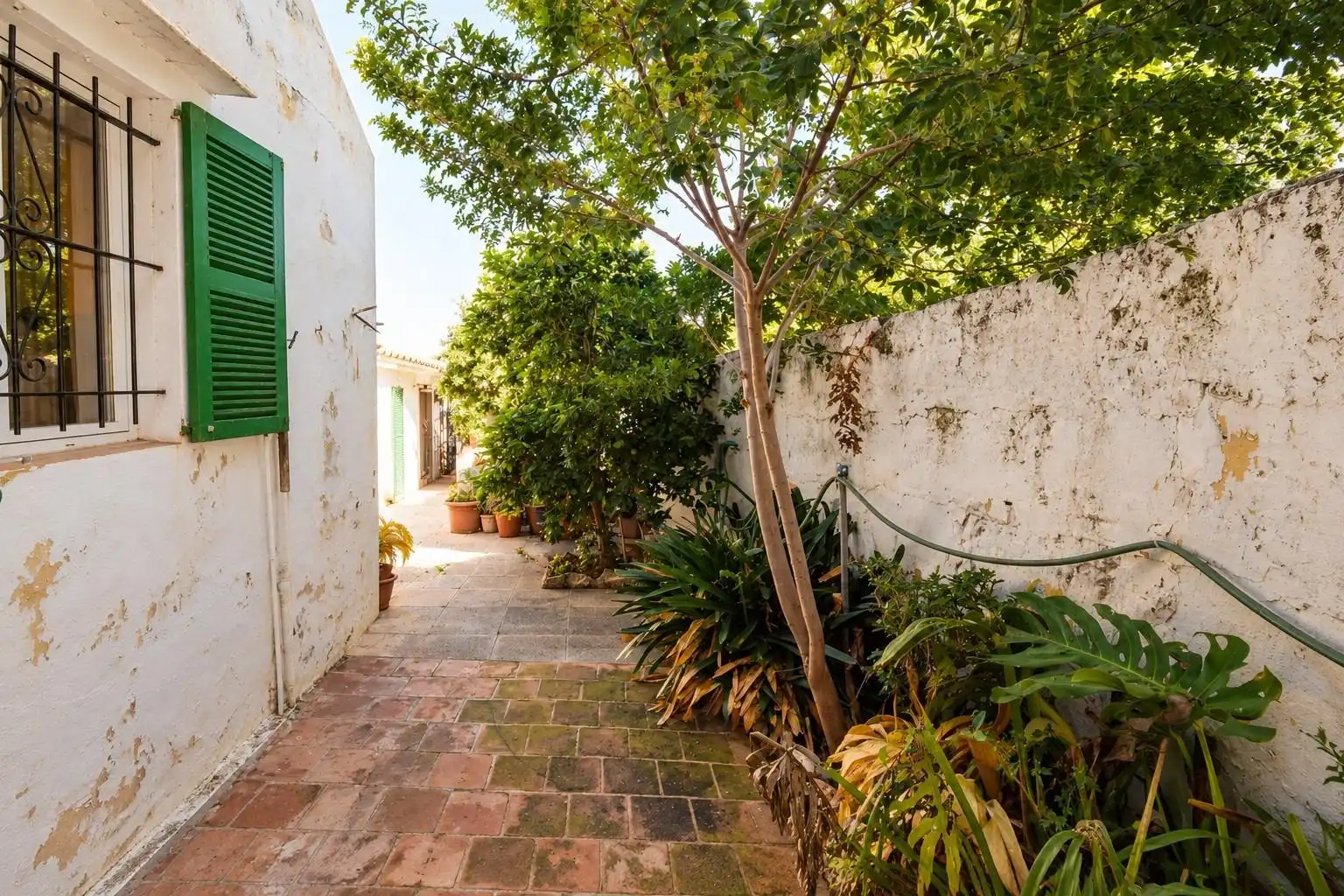 Vista exterior de Casa o xalet en venda en  Palma de Mallorca amb Jardí privat