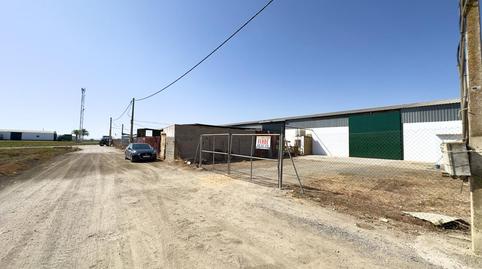 Photo 3 of Industrial buildings for sale in Torre Cruz - Los Molinos, Sevilla