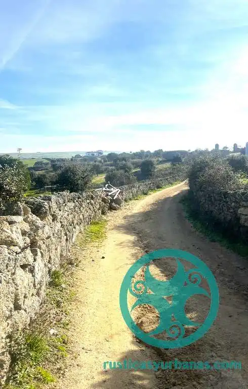 Terreni e lotti in vendita a Casar de Cáceres, imagen 9