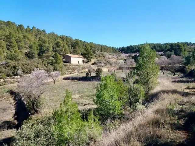 Terrenos y solares en venta en Valjunquera, imagen 4