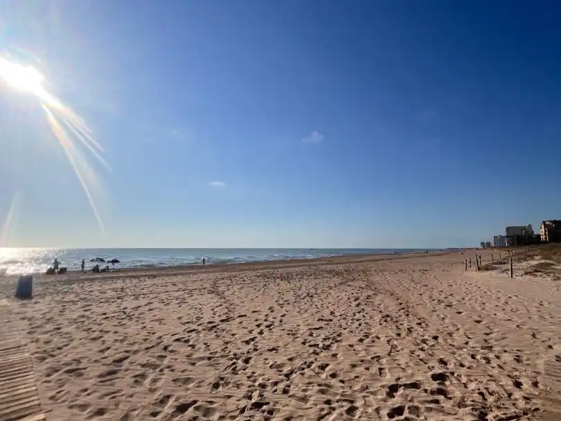 Apartament amb jardí de lloguer a Avenida de  las  Gaviotas 167