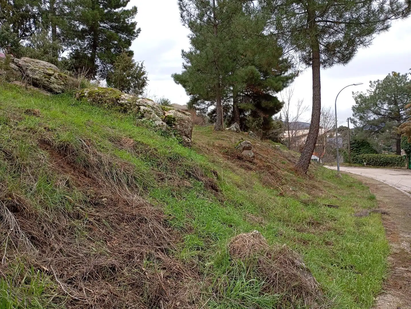Terreni e lotti in vendita a Robledo de Chavela, imagen 12