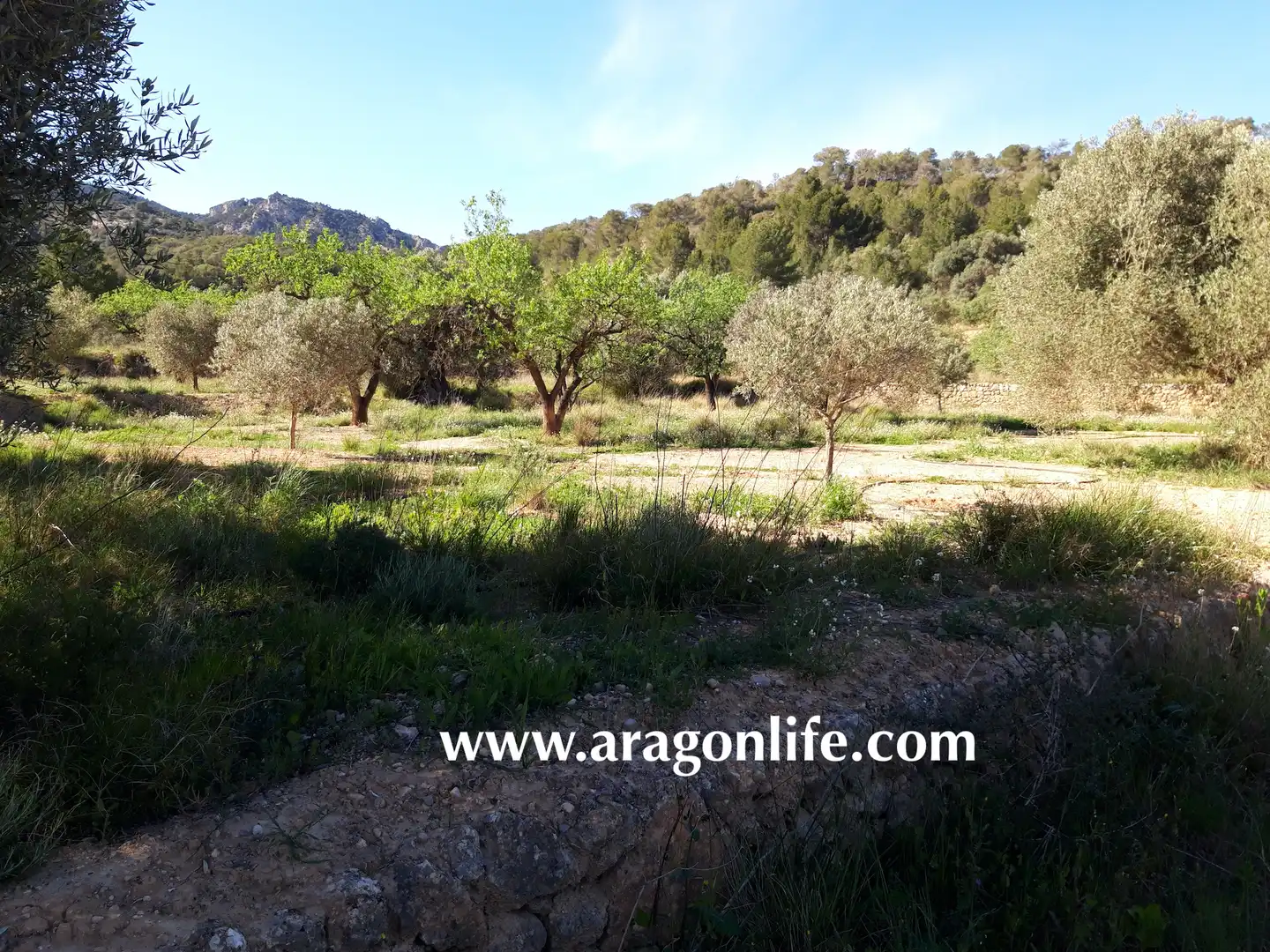 Country homes for sale in El Pinell de Brai