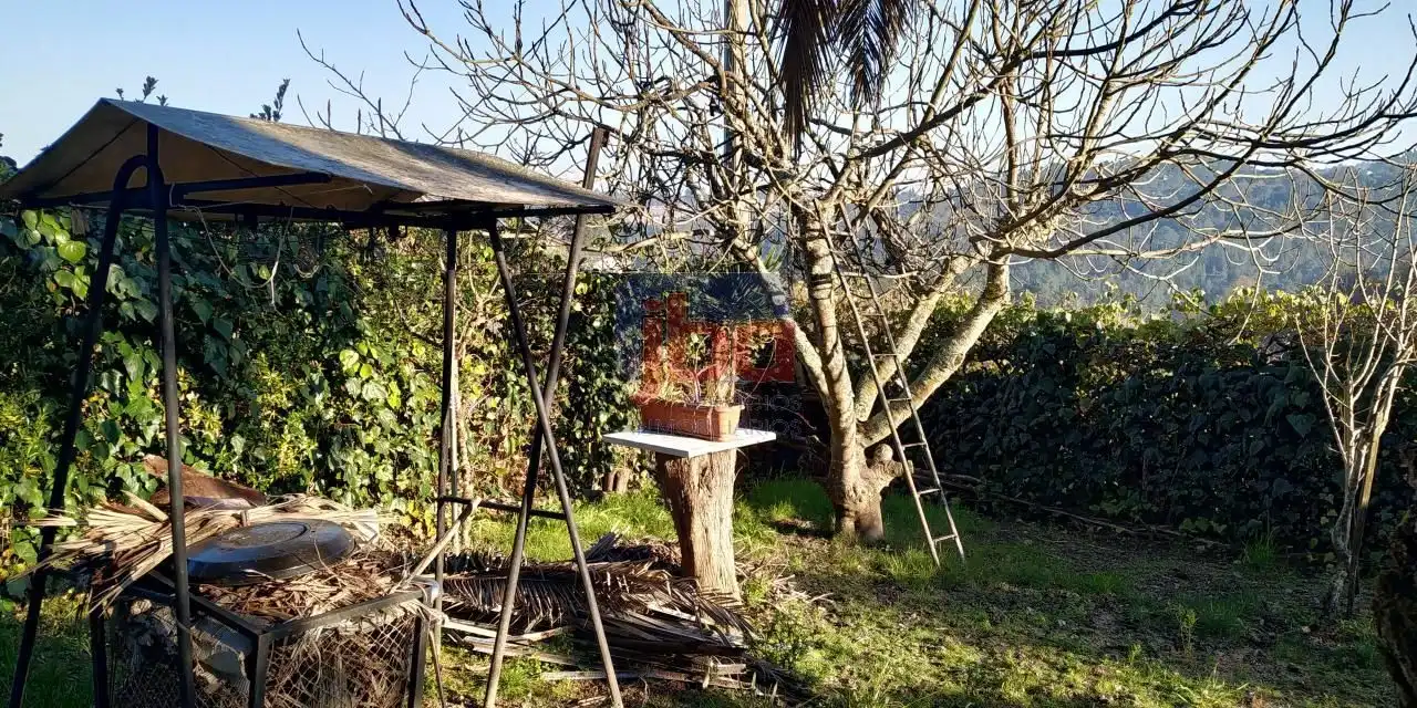 Garden of Land for sale in Xunqueira de Ambía