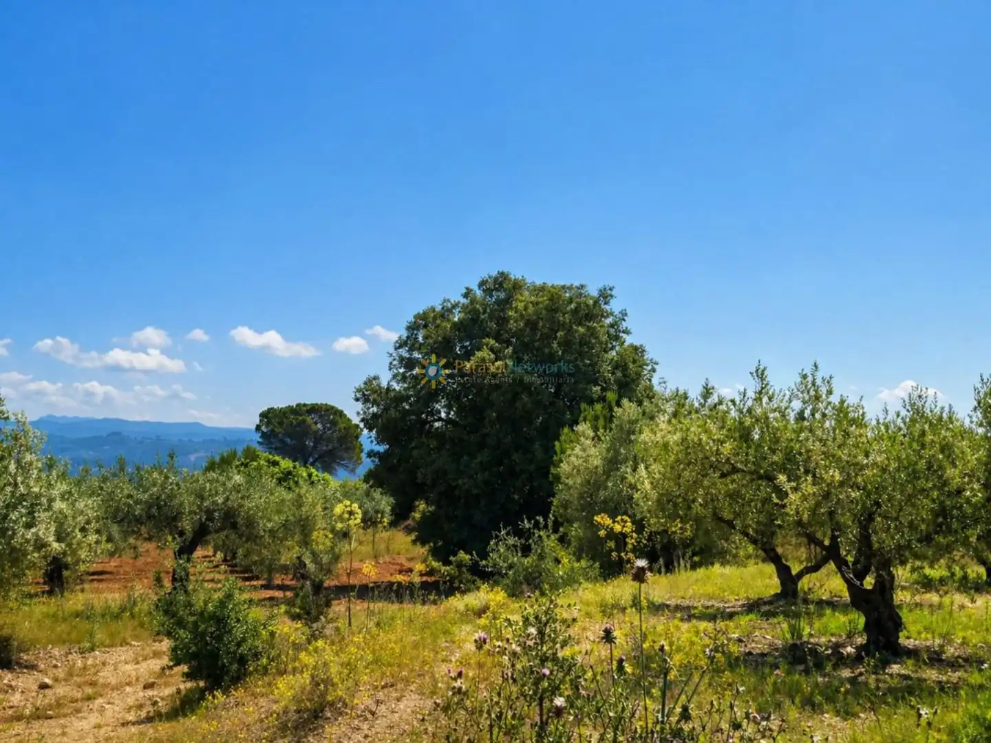 Terreno en venta en Bellús