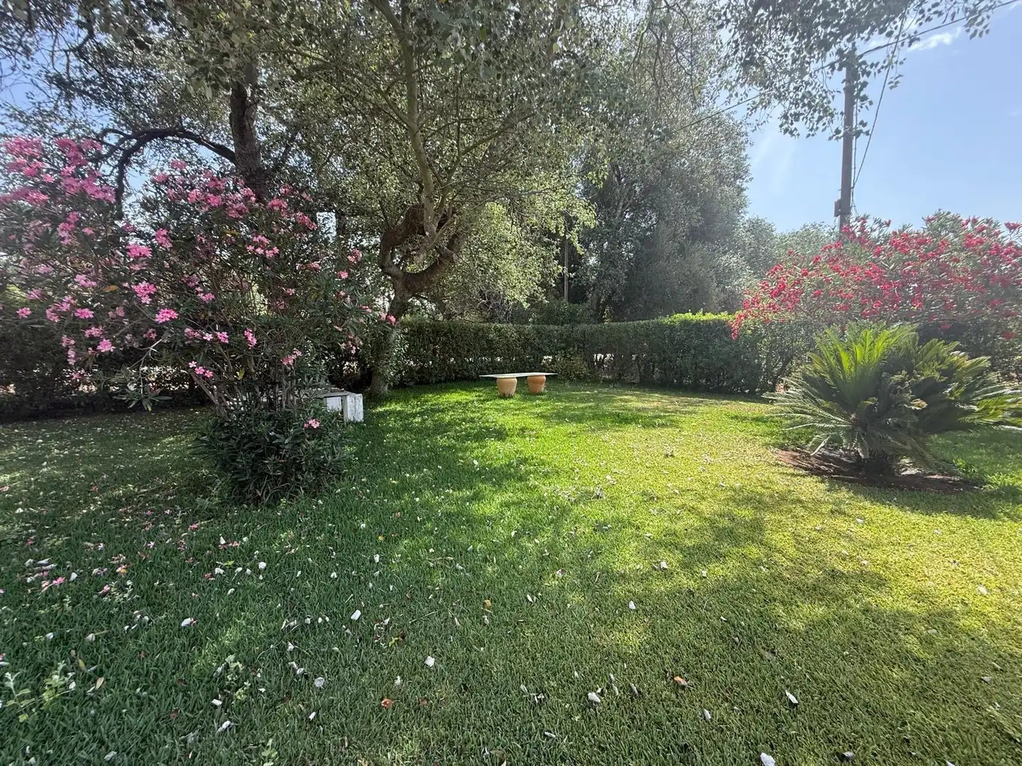 Jardí de Casa o xalet en venda en Vejer de la Frontera amb Aire condicionat, Calefacció i Jardí privat