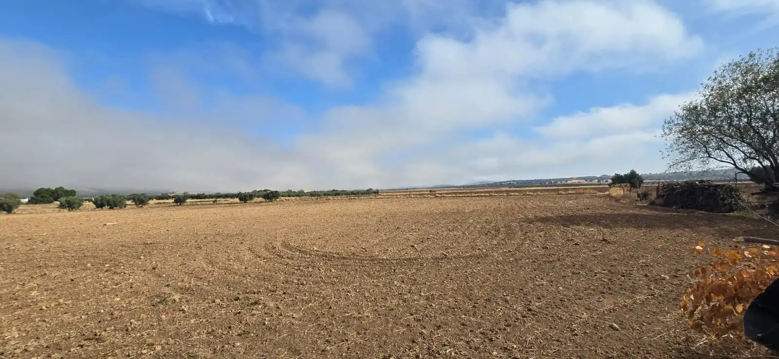 Country homes for sale in Villamayor de Calatrava