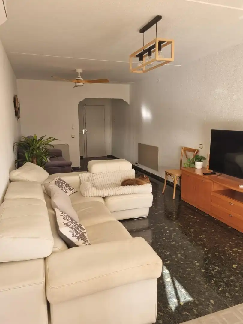 Sala d'estar de Pis per a compartir en La Pobla de Farnals amb Aire condicionat, Jardí privat i Terrassa