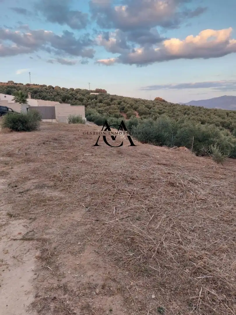 Terreno residencial en venta en Las Vegas - Campoaras, imagen 10