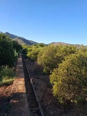 Terrain rustique à vendre à Terrenos MARXUQUERA  ALTA, imagen 12