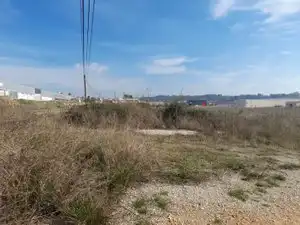 Rural land for sale in Vallmoll, imagen 11
